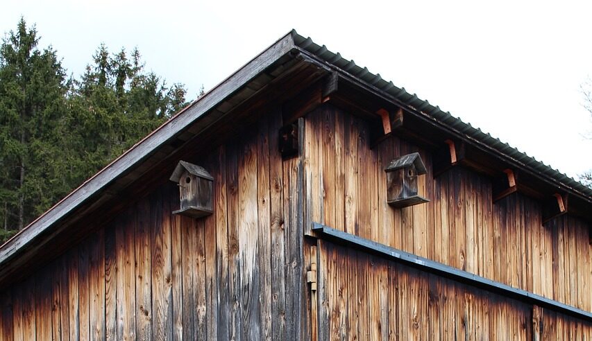 woodshed, weathered, old, lonely, calm, forest, barn